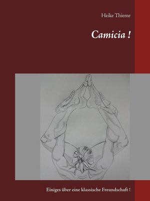 cover image of Camicia !